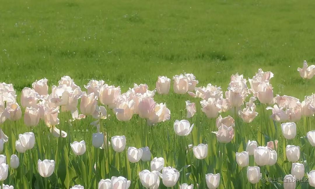 可视化