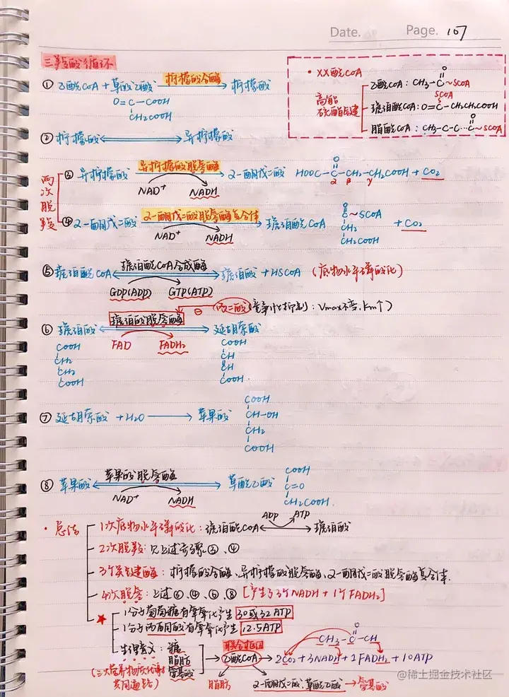 生化手写笔记.pdf