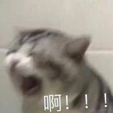 哈哈哈哈111于2024-03-21 17:36发布的图片