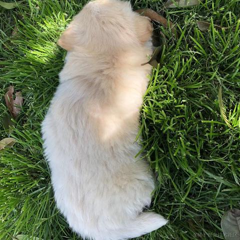 moonWind于2022-11-16 08:38发布的图片