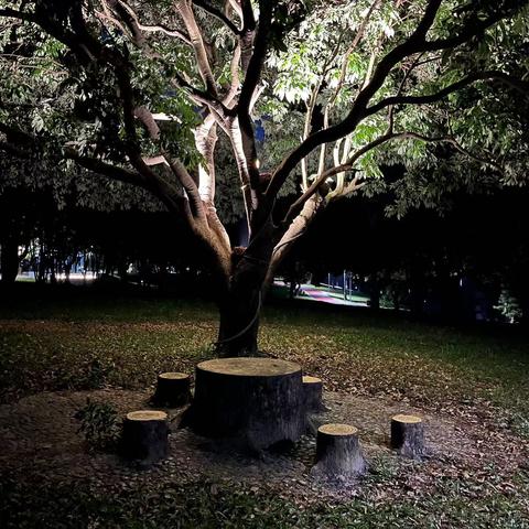 Canivores于2022-09-18 14:30发布的图片