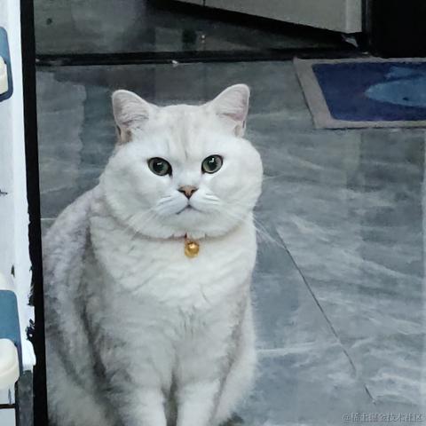 叨叨呀于2022-06-16 09:46发布的图片