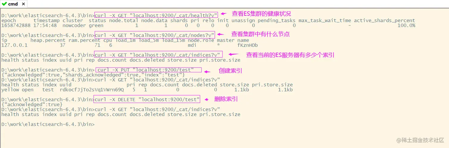 image-20220725181142393