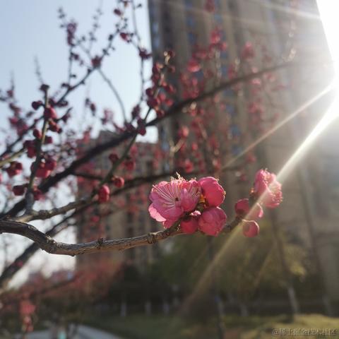 梦想实现家_Z于2023-02-14 15:43发布的图片