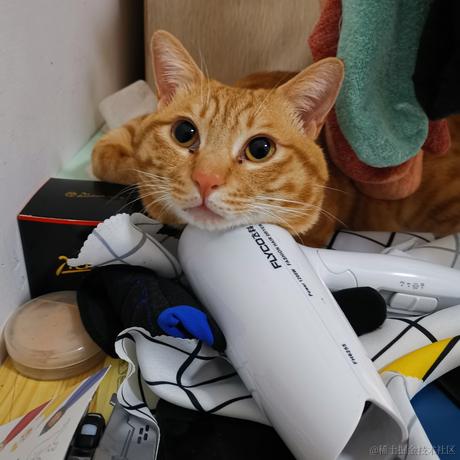 古柏树下于2022-02-22 07:31发布的图片