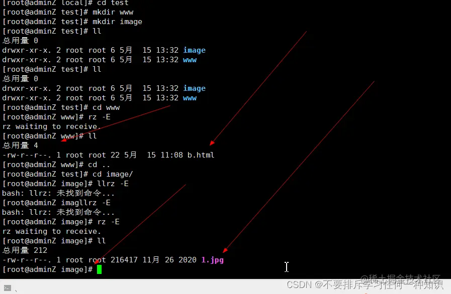 在这里插入图片描述