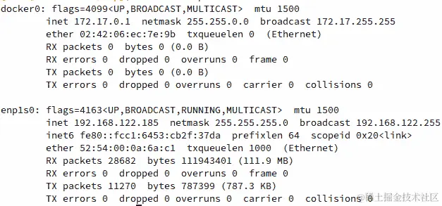 图 6.12：来自您的 Docker 开发环境的示例 ifconfig 输出