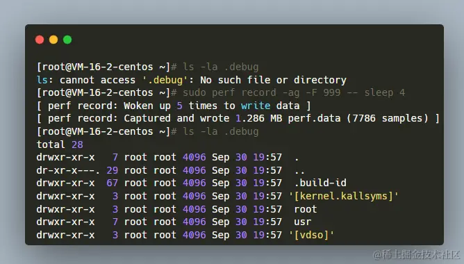perf record生成了.debug目录
