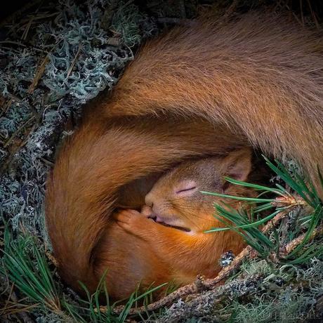 hhh江月于2022-09-05 10:10发布的图片