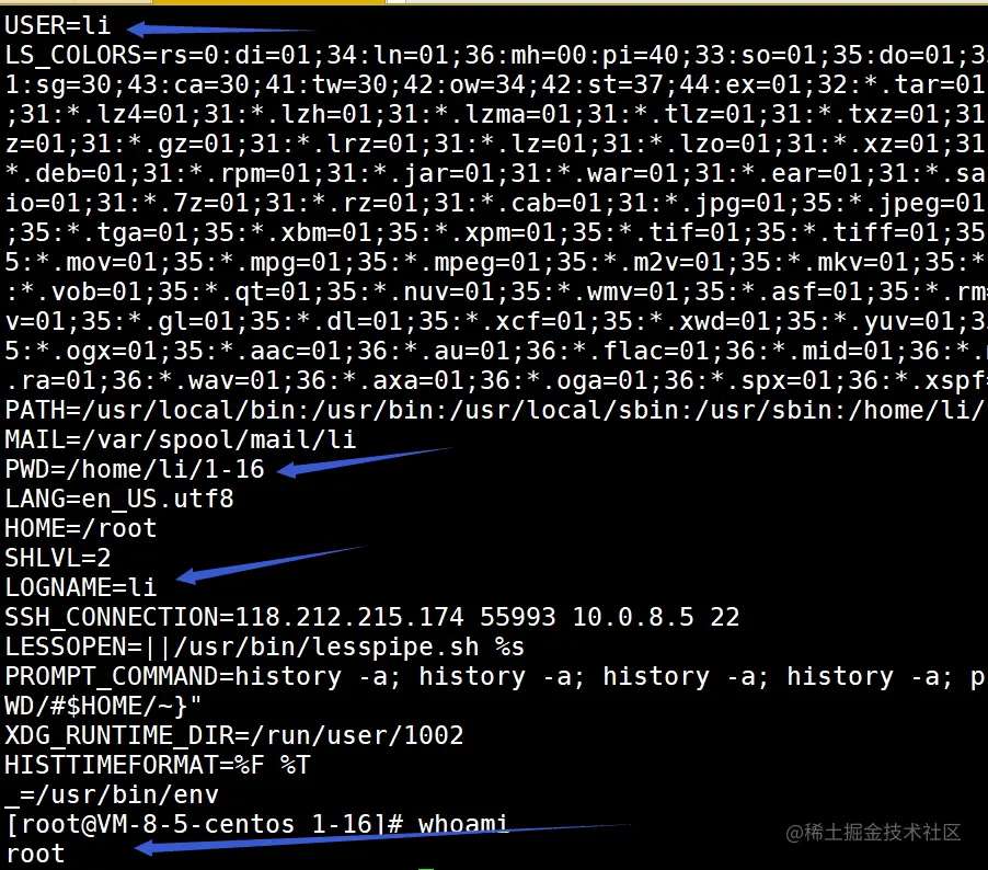 image-20230119105716369