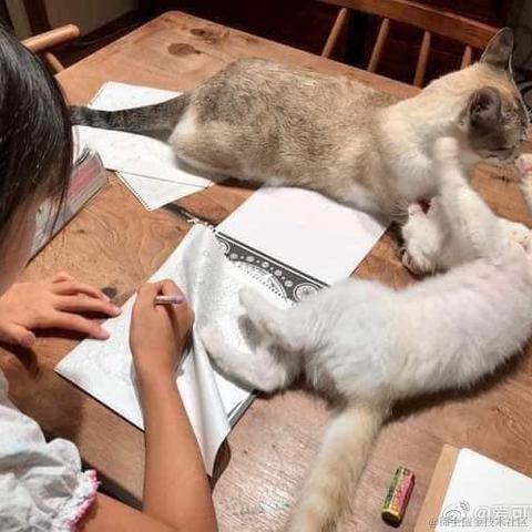 爱可可爱生活于2021-04-07 22:17发布的图片