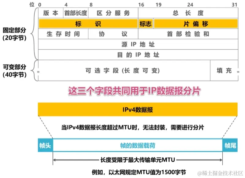 image-20230728044430047