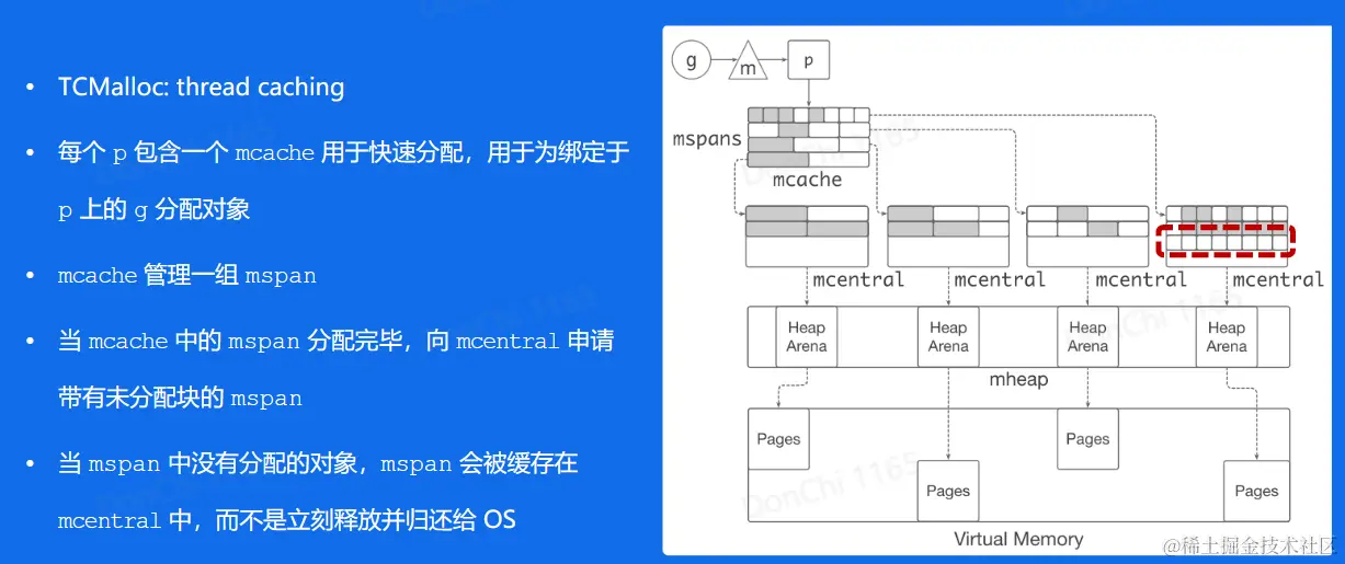 image-20230119155343789