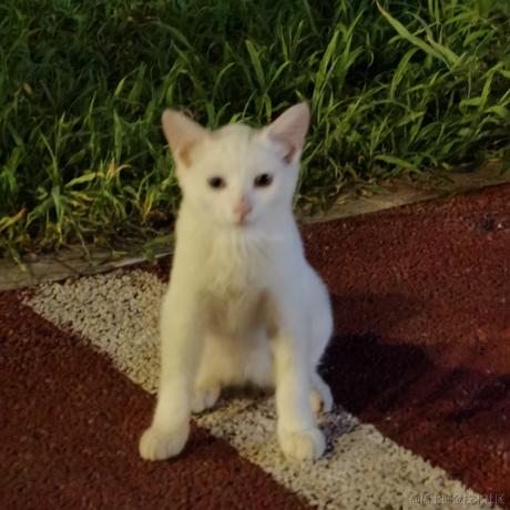鑫森淼焱垚9527于2024-07-12 10:58发布的图片