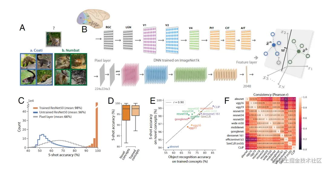 将概念学习建模为学习一个线性读数