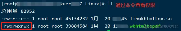 image-20210120171951473