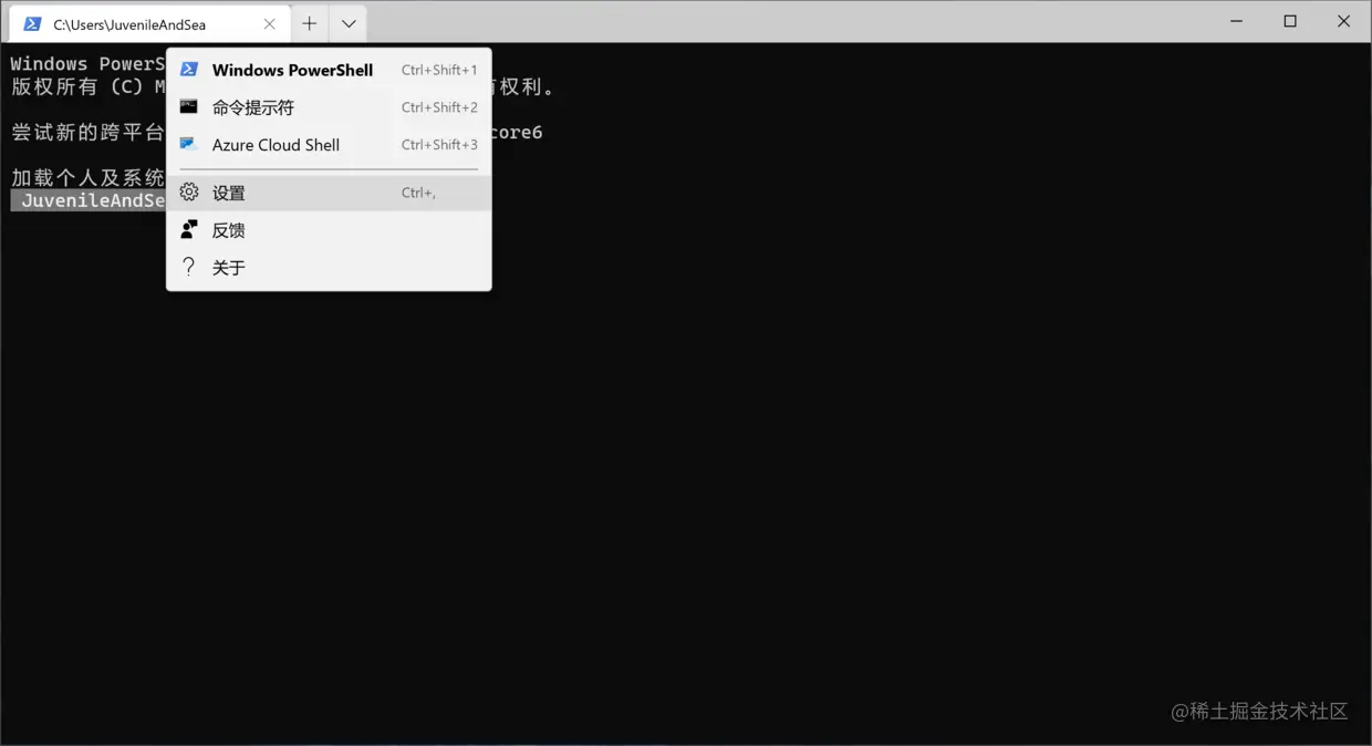 打开Windows Terminal设置文件