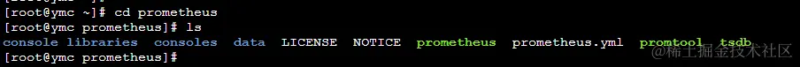 进入prometheus目录