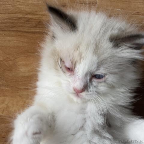 霍奇的猜想于2023-05-13 22:47发布的图片