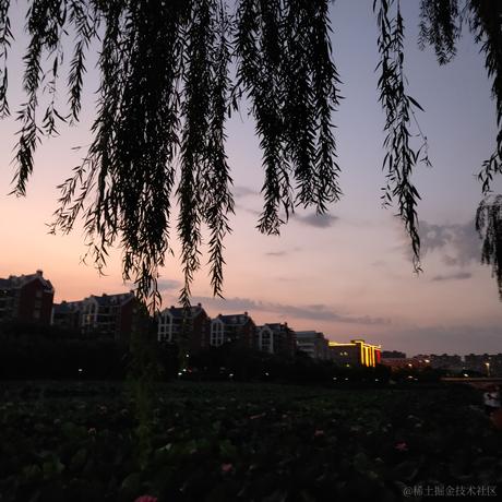 枝江小区第一寒冰于2023-07-18 09:33发布的图片