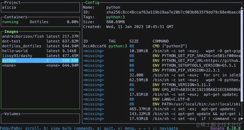 lazy-docker-example-usage（懒惰的docker示例用法）