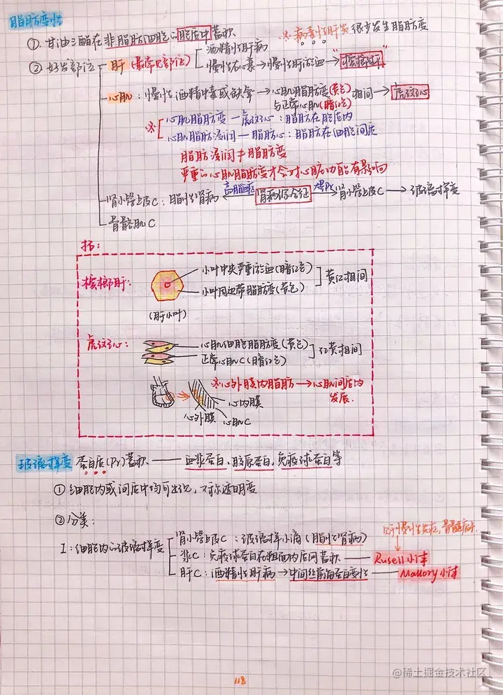 病理手写笔记.pdf