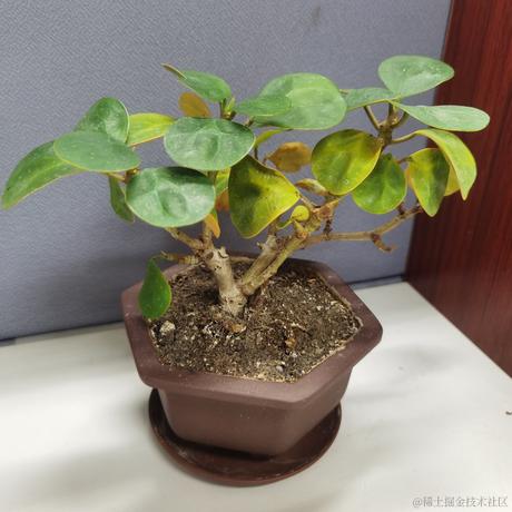 熙宁于2022-02-14 14:44发布的图片