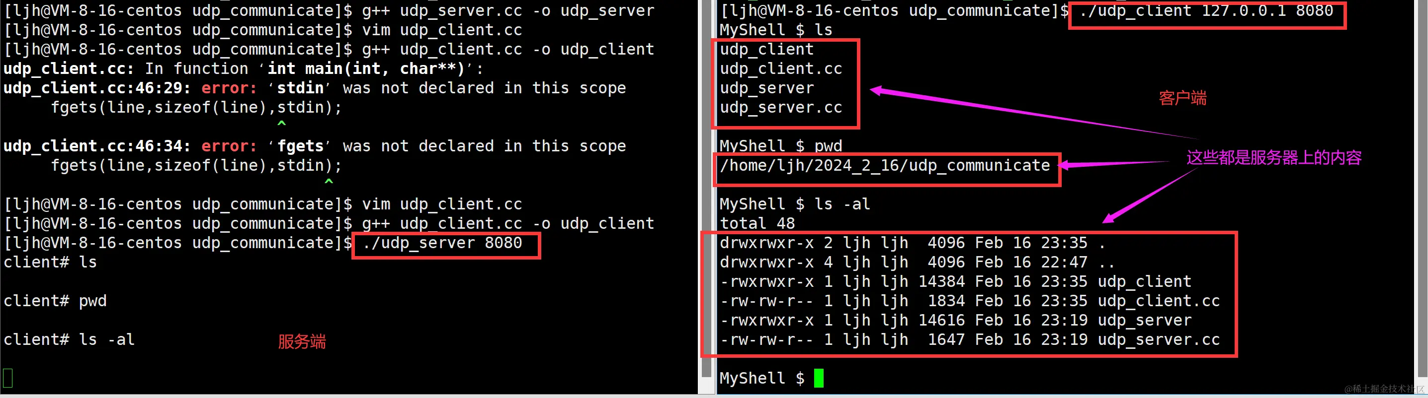 image-20240216233818749
