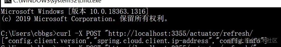 image-20210123170831326