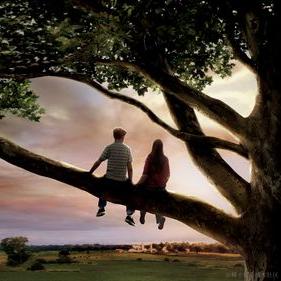 吃什么于2023-05-14 13:01发布的图片