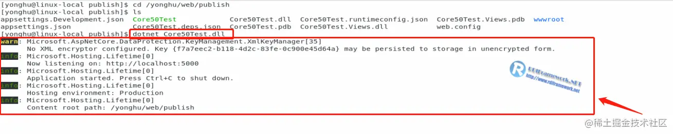 image-20210113164425166