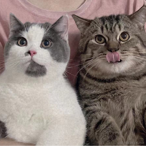 发誓今年要赚10倍于2021-05-06 10:46发布的图片