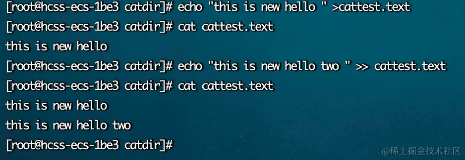 image-20230921155308713