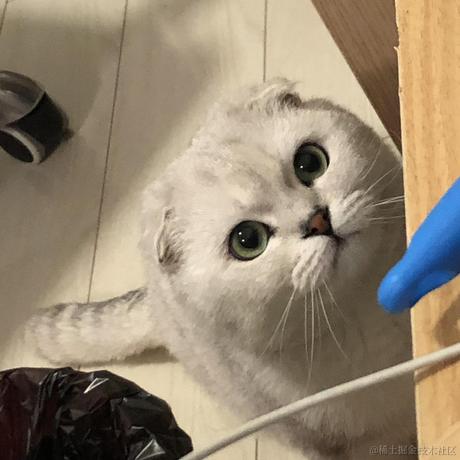 用户4361920553590于2020-09-07 10:44发布的图片