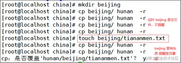 image-20220310121200979