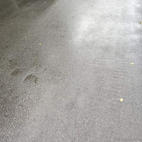 netfix于2022-11-17 07:31发布的图片