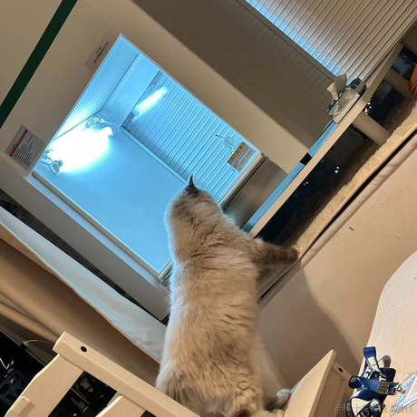 打你的修狗于2023-04-09 15:21发布的图片