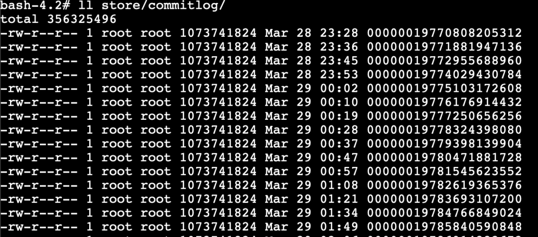 重新理解RocketMQ Commit Log存储协议