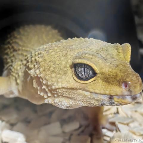 BK0717_王大明于2022-11-22 13:45发布的图片