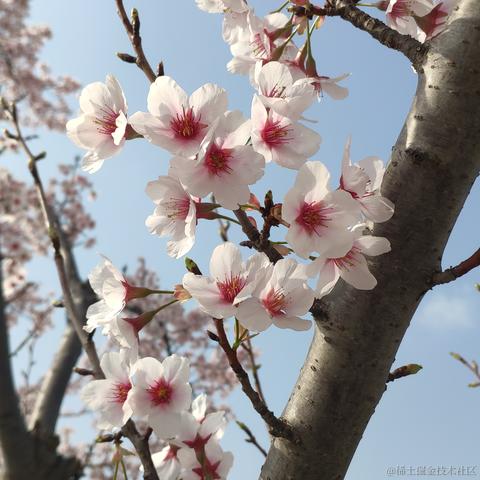 getify于2023-03-12 15:14发布的图片