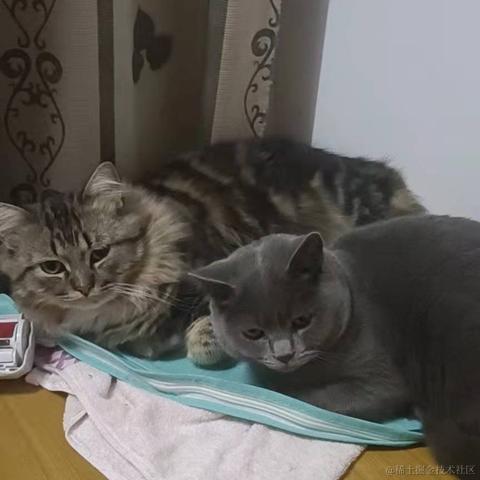 小小明同学于2022-01-07 09:09发布的图片