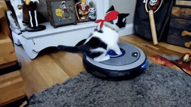 Prompt：“一只可爱的海盗小猫骑着机器人吸尘器在屋子里四处奔跑。”