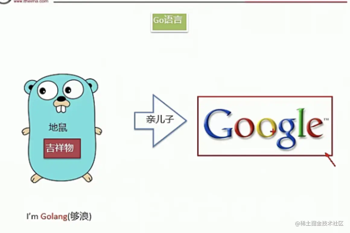 image-20210923181625037