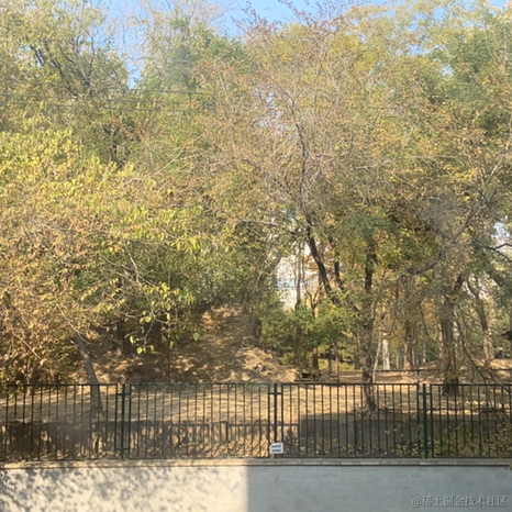 Yoyo饲养员于2022-11-13 16:06发布的图片