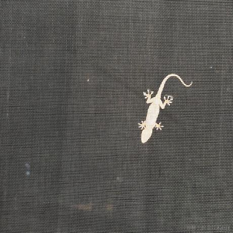 梓风于2022-11-29 12:10发布的图片