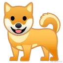 dog2