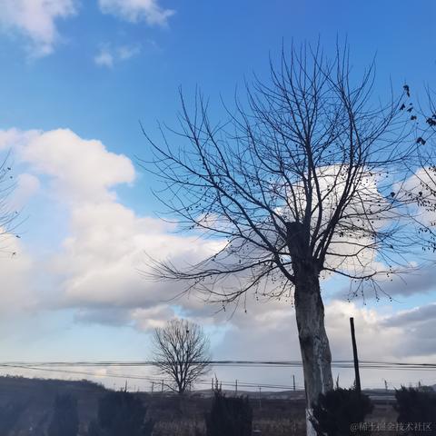 娜星于2022-12-19 14:58发布的图片