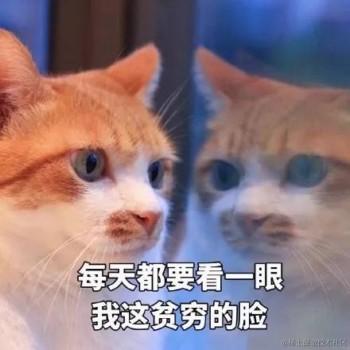 半修缘于2024-02-19 17:04发布的图片
