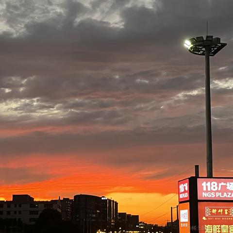 皮皮酱子于2023-09-01 11:11发布的图片