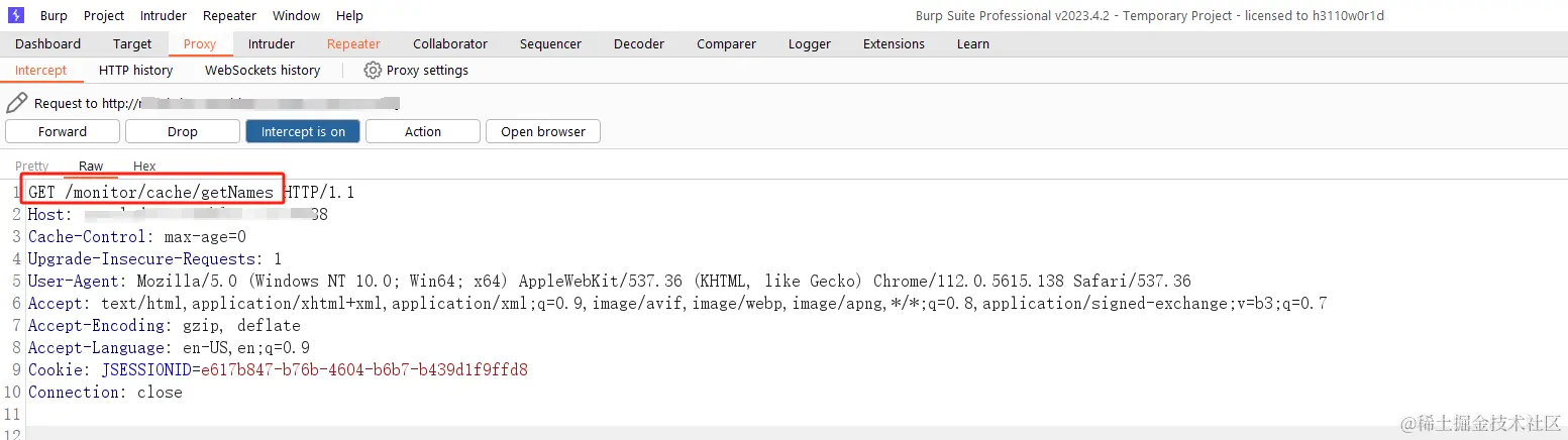 image-20240411132629456